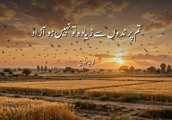 غروب آفتاب کے وقت کھیتوں پر آزاد اڑتے پرندے — "تم پرندوں سے زیادہ تو نہیں ہو آزاد" کے عنوان کے ساتھ