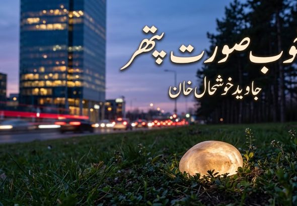 شام کے وقت باغیچہ، چیڑ کے درخت اور روشنیوں والی عمارت — "خوبصورت پتھر" کے عنوان کے ساتھ
